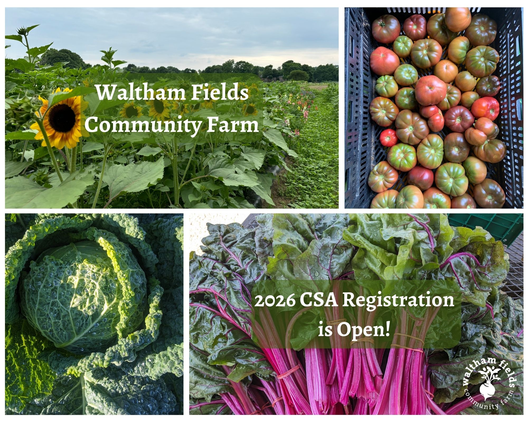 Waltham Fields Community Farm awarded $5,000 grant