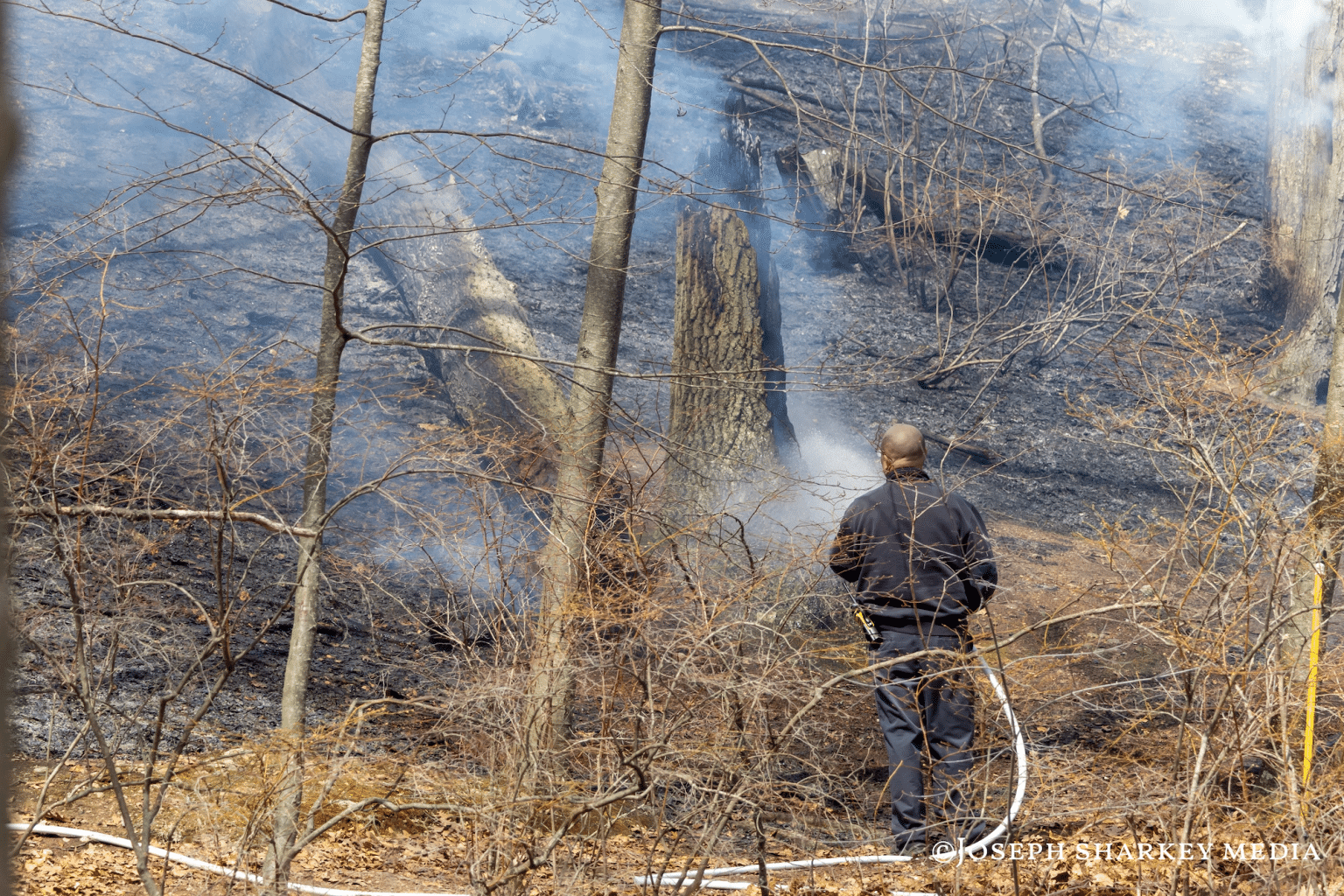 Emergency crews put out brush fire near Charles River – Waltham Times