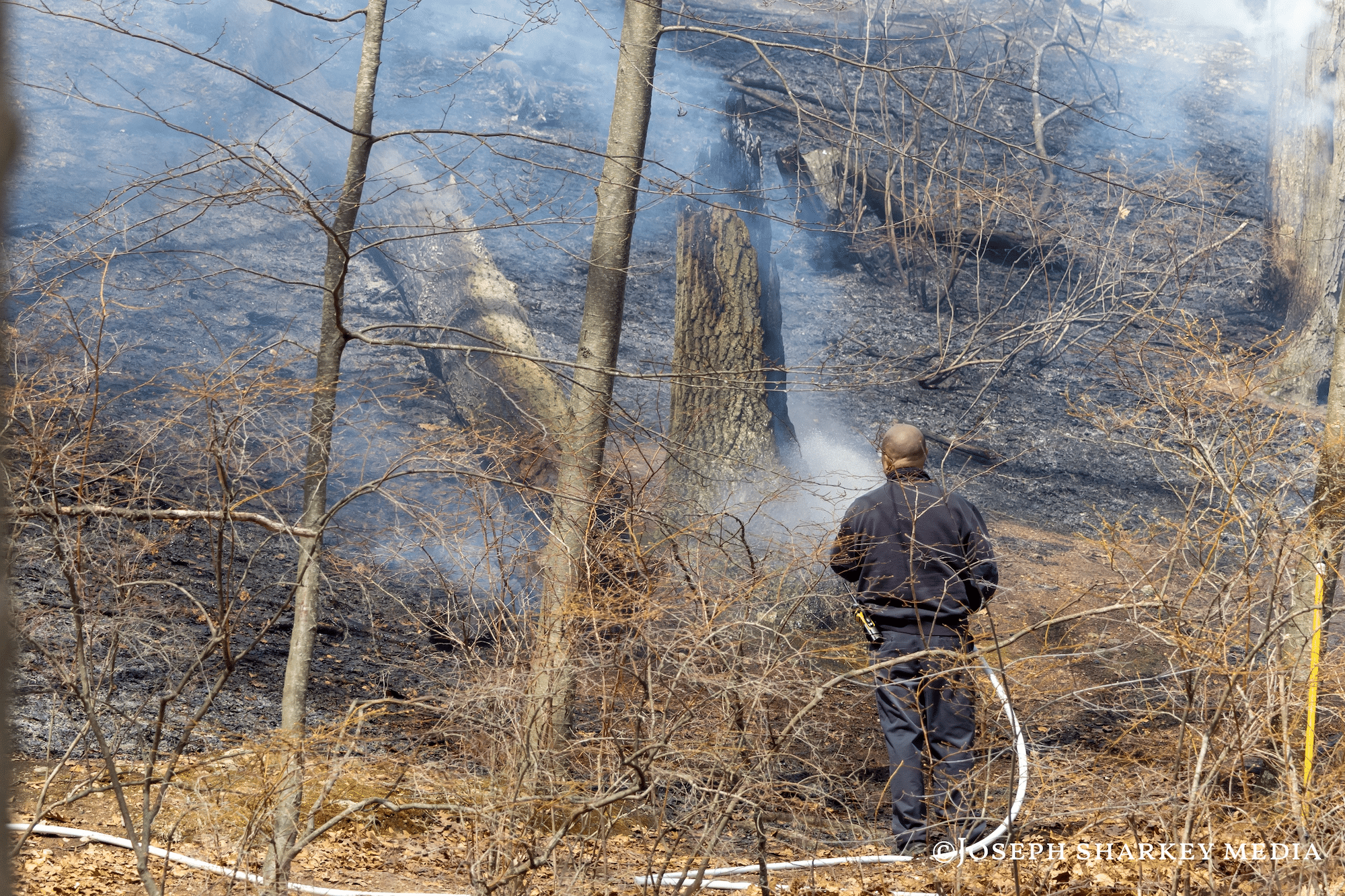 Emergency crews put out brush fire near Charles River – Waltham Times