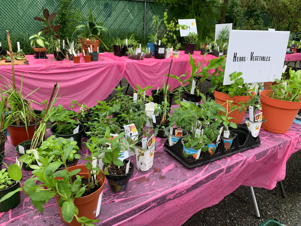 Stock up for spring gardening at Waltham’s popular plant and seed sales