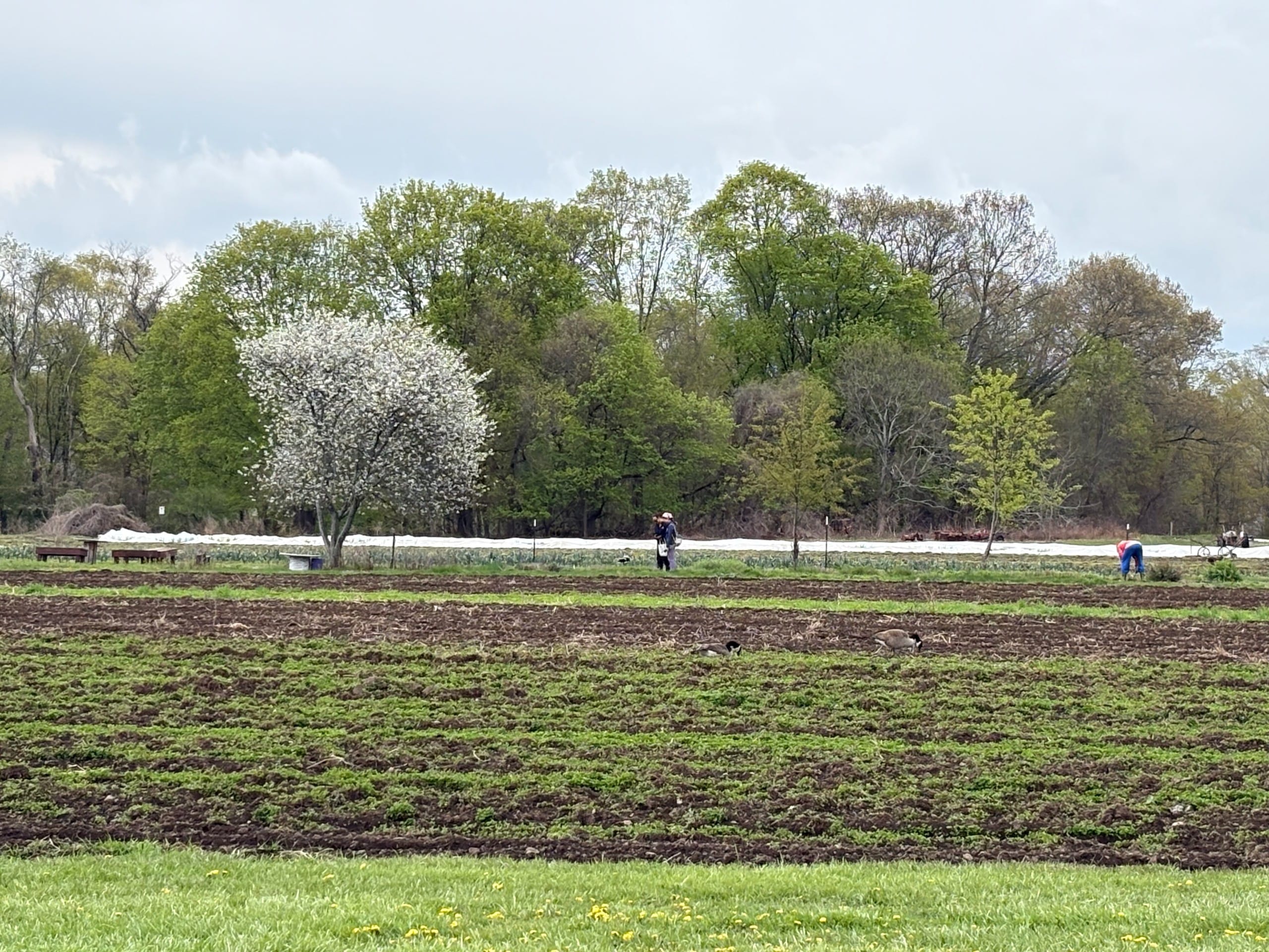 Out on Beaver Street, a STEM festival and farm stand opening