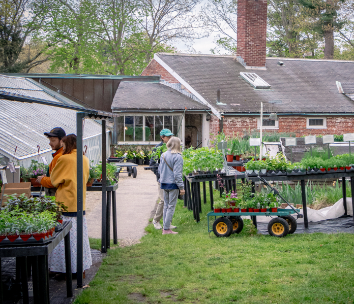 Herb-Sale Lyman Estate