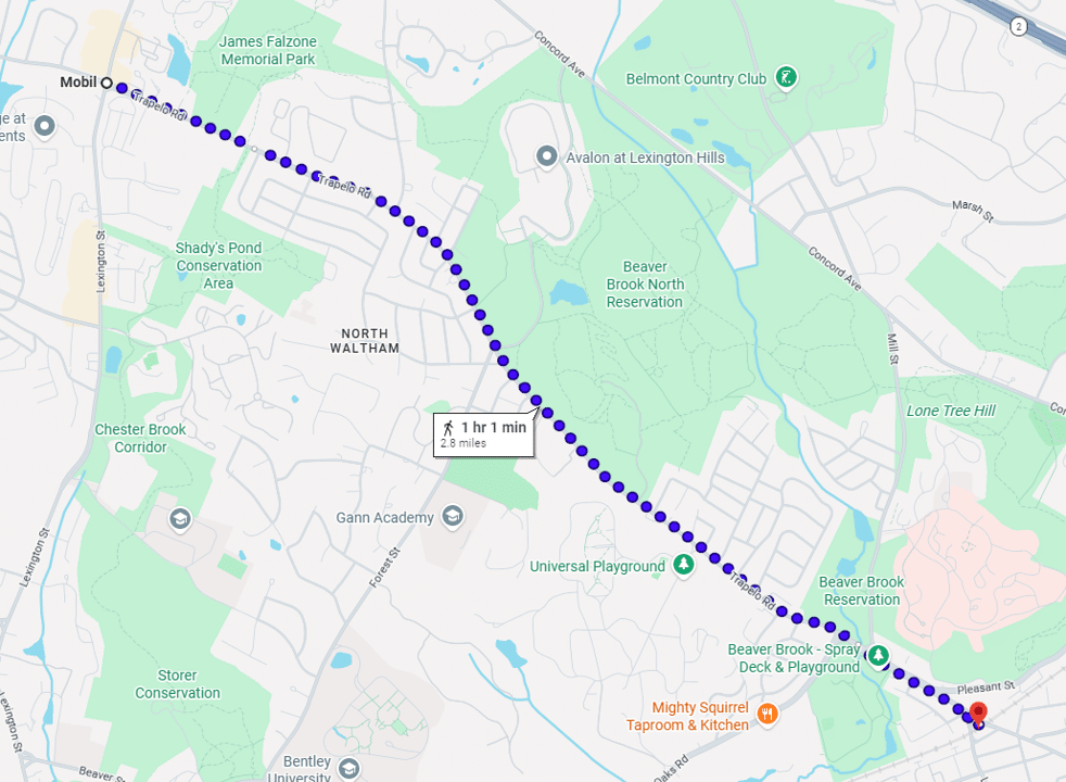 City Council in brief: City measuring interest for Trapelo Road bus – Waltham Times
